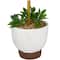 2ft. Green Boxwood Ball Topiary Faux Foliage with White Cement Pot